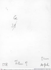 Historisches Foto (Rückseite) von Culmenformosa triastrixosa (Robins, Feldmann & Schweitzer, 2013) (NHMW-AFW-GEO-BACHMAYER-FOTO-1990-0041-0558)